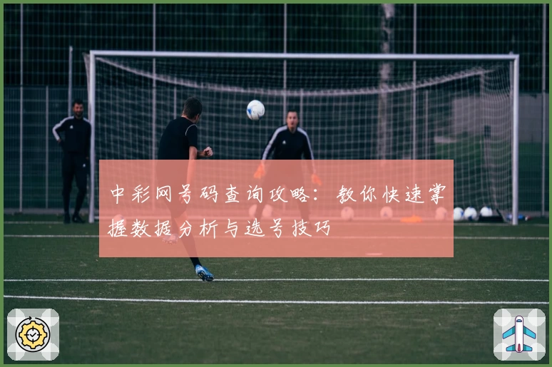 中彩网号码查询攻略：教你快速掌握数据分析与选号技巧