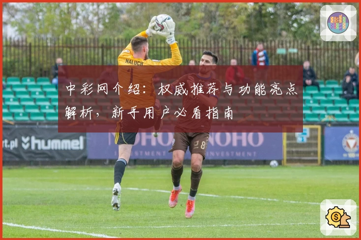 中彩网介绍：权威推荐与功能亮点解析，新手用户必看指南