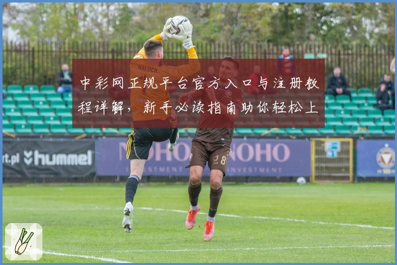 中彩网正规平台官方入口与注册教程详解,新手必读指南助你轻松上手