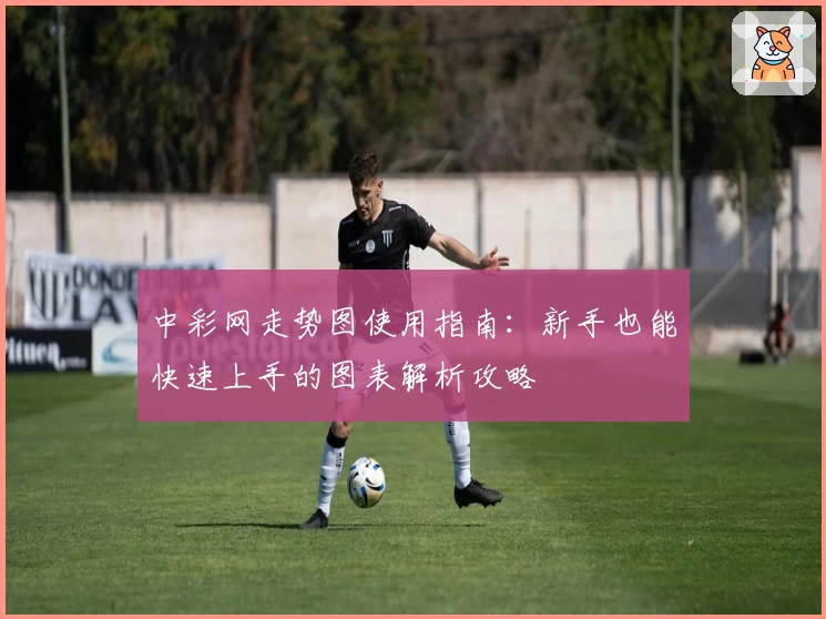 中彩网走势图使用指南：新手也能快速上手的图表解析攻略