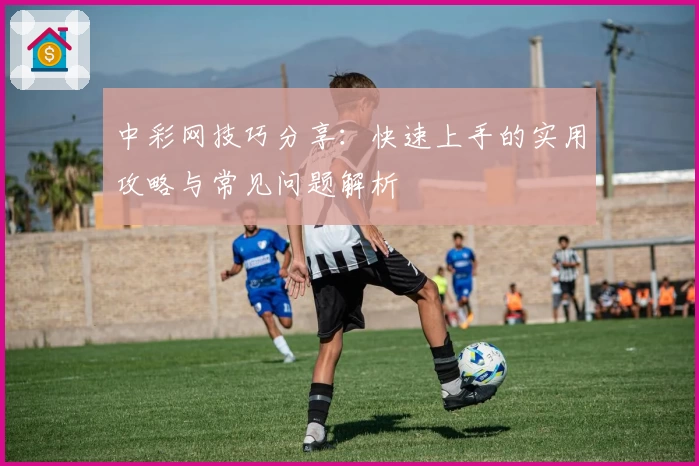 中彩网技巧分享：快速上手的实用攻略与常见问题解析