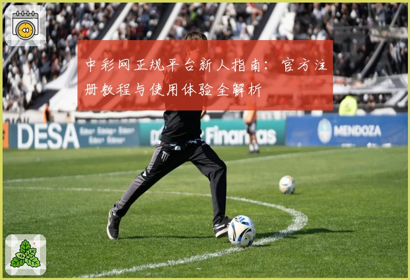 中彩网正规平台新人指南：官方注册教程与使用体验全解析
