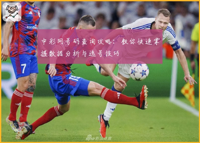中彩网号码查询攻略：教你快速掌握数据分析与选号技巧