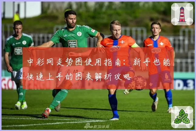 中彩网走势图使用指南：新手也能快速上手的图表解析攻略